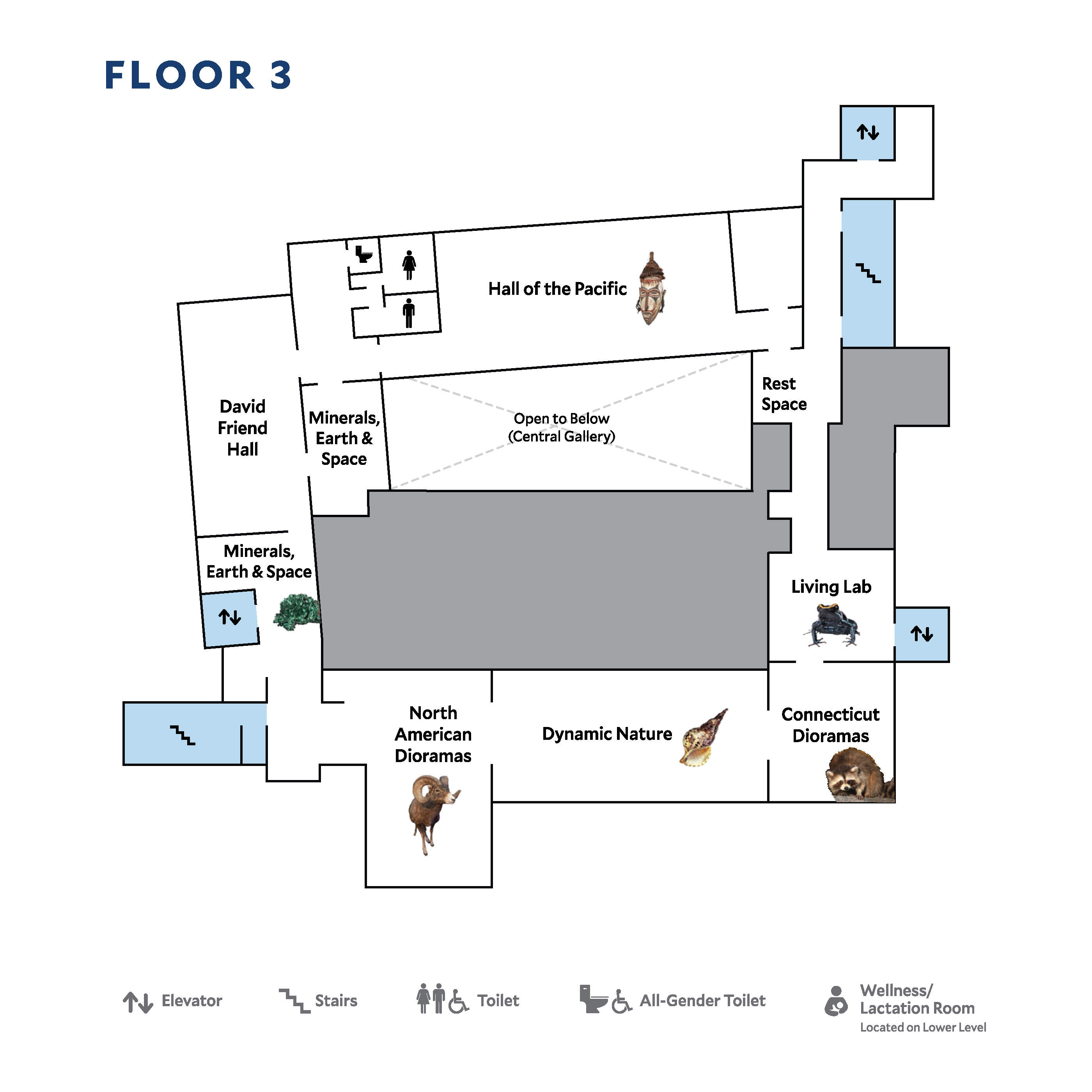 Floor Plan - First Floor